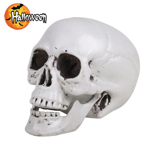 Une Tête de mort crâne anatomique taille réel